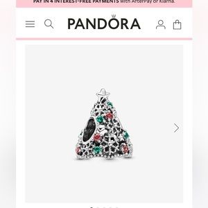 PANDORA charm